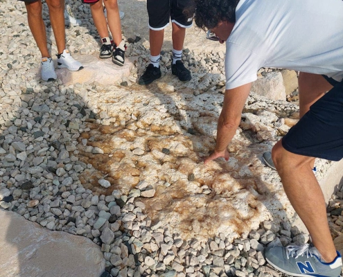 Uscita didattica: La via verde dei Trabocchi 5