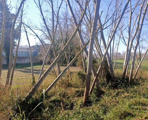 2025 Uscita didattica parco fluviale fiume Pescara 4